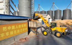 提拔过湿地块通